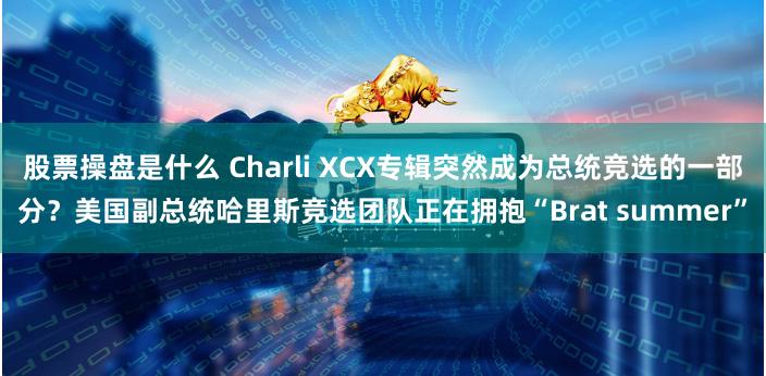 股票操盘是什么 Charli XCX专辑突然成为总统竞选的一部分？美国副总统哈里斯竞选团队正在拥抱“Brat summer”