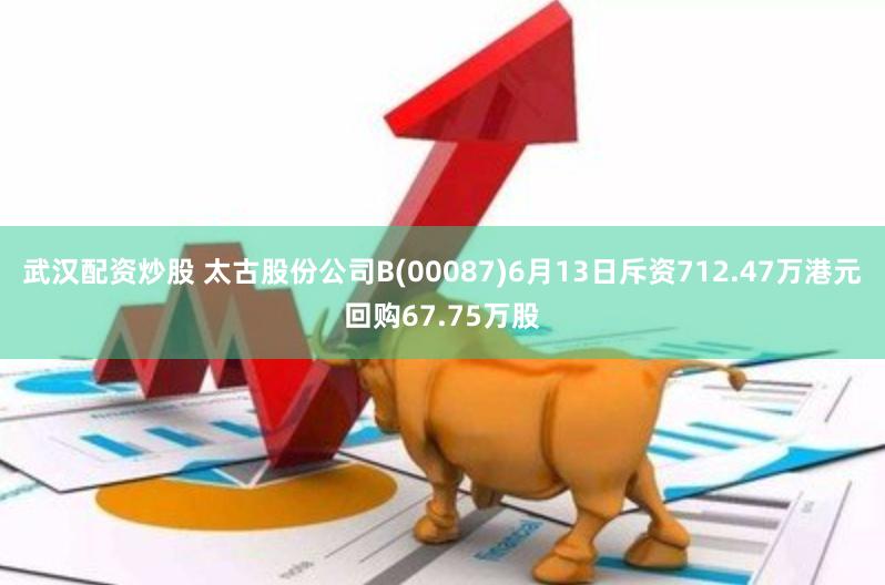 武汉配资炒股 太古股份公司B(00087)6月13日斥资712.47万港元回购67.75万股