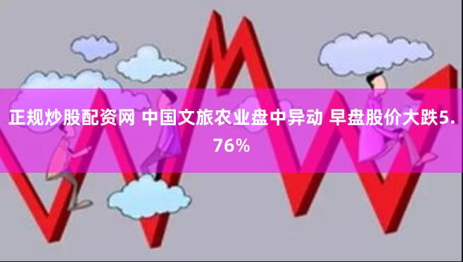 正规炒股配资网 中国文旅农业盘中异动 早盘股价大跌5.76%