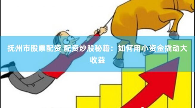 抚州市股票配资 配资炒股秘籍：如何用小资金撬动大收益