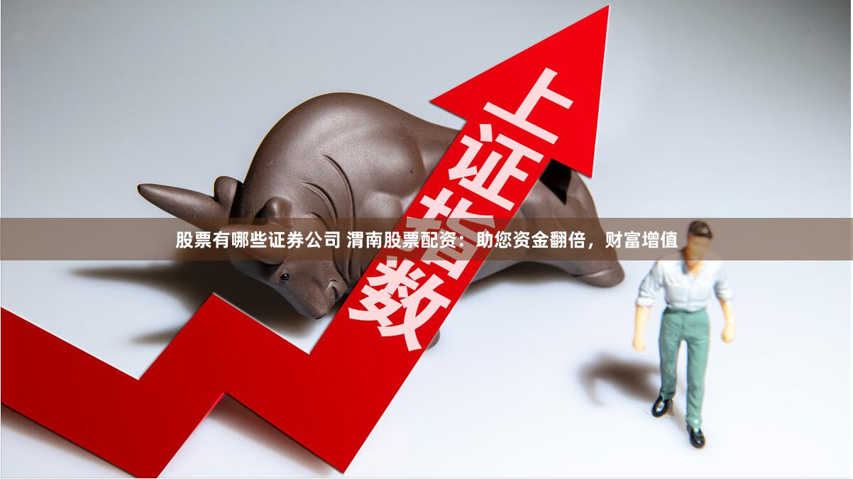 股票有哪些证券公司 渭南股票配资：助您资金翻倍，财富增值